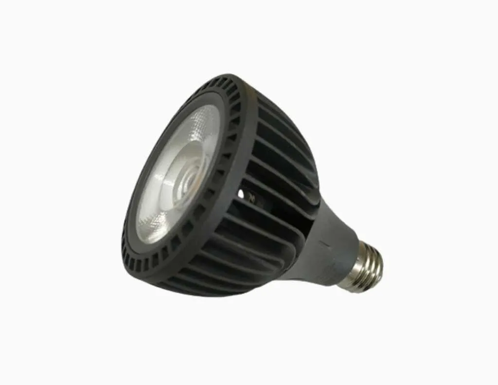 Gambar Luxon Par 30 Watt