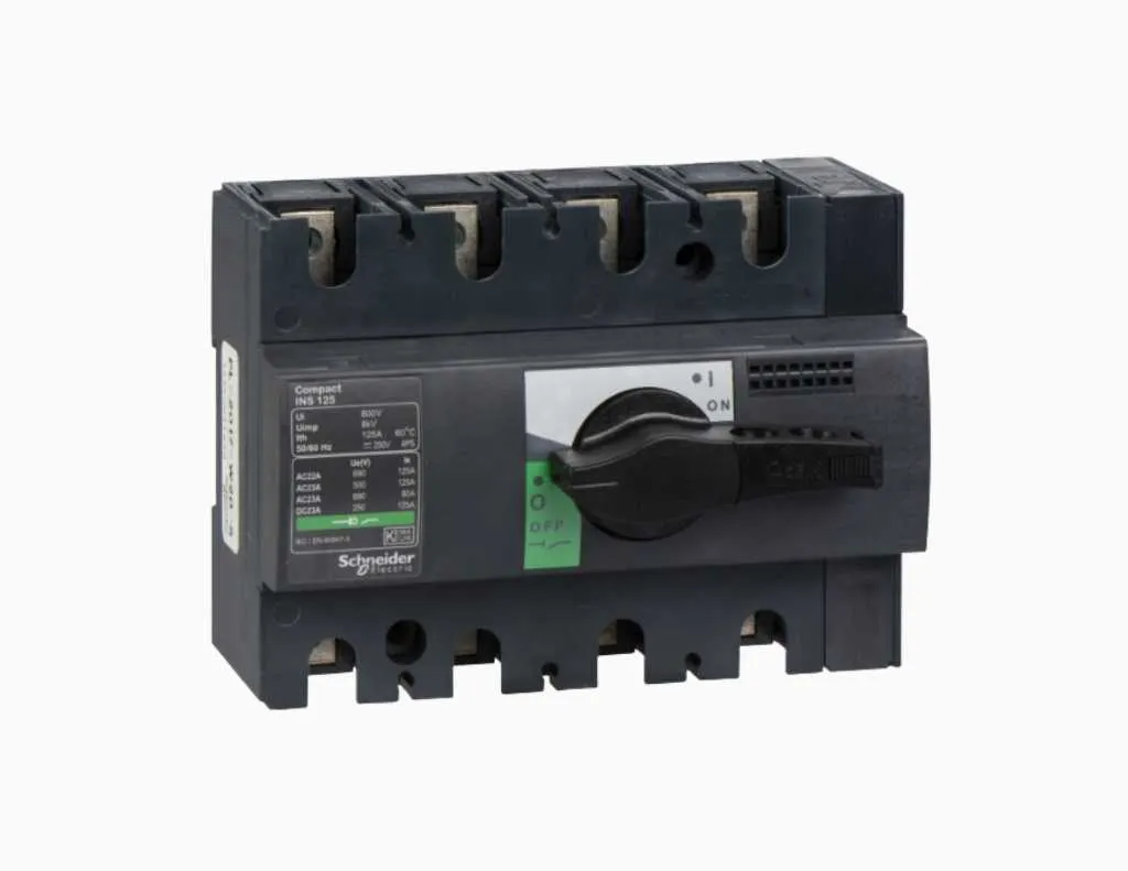 Gambar Schneider Compact INS 4P- INS125-28911