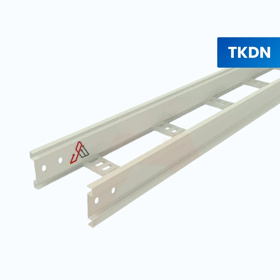 Gambar Electra Straight Ladder W-H 100 X W 100 Length 3000 Mm Thickness 1,8mm